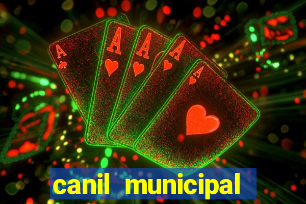 canil municipal porto alegre